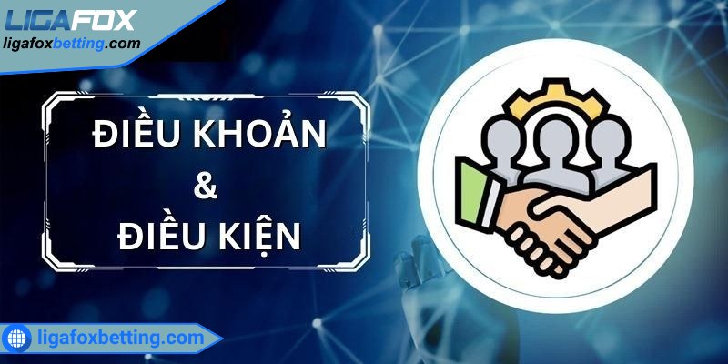 Điều khoản & điều kiện OXBET là gì?