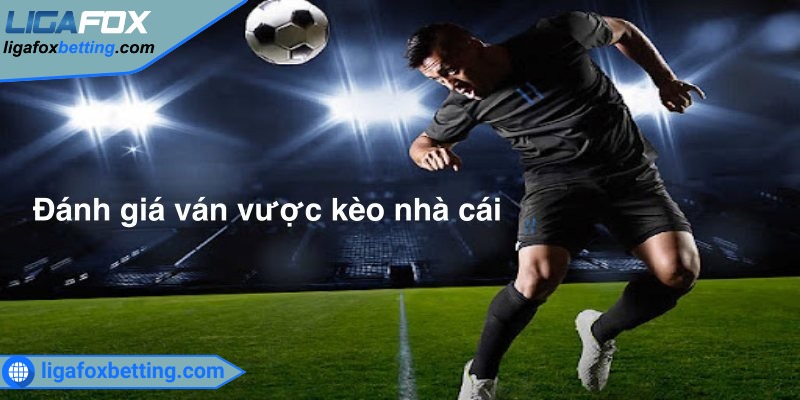 Bước 4: Theo dõi sự biến động kèo liên tục