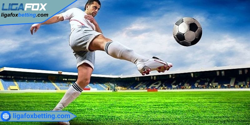 Người mới cần nắm được những loại cược cơ bản