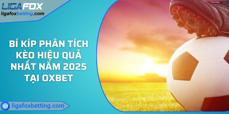 Bí kíp phân tích kèo hiệu quả nhất năm 2025 tại OXBET