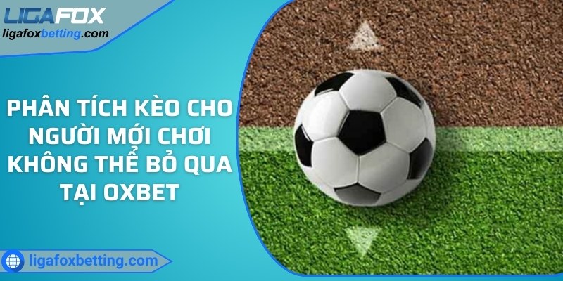Phân tích kèo cho người mới chơi không thể bỏ qua tại OXBET